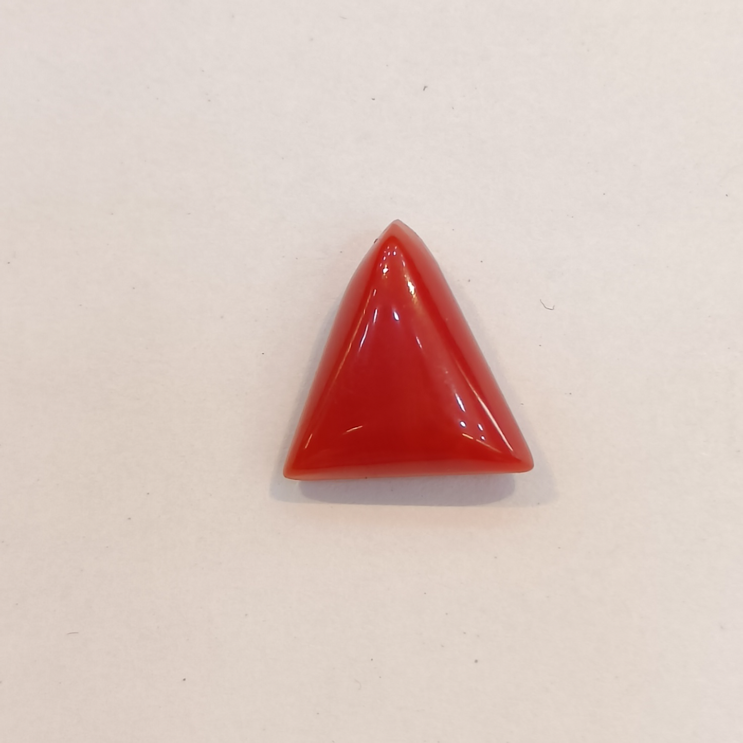 Red Coral (Moonga) - 3.85 Carats