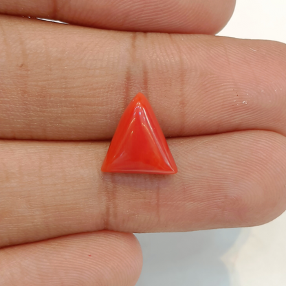 Red Coral (Moonga) - 3.85 Carats