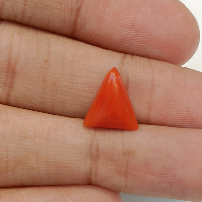 Red Coral (Moonga) - 4.16 Carats