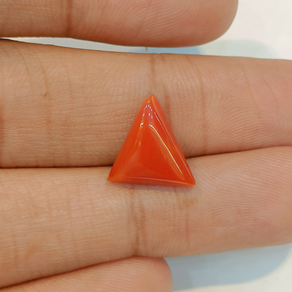 Red Coral (Moonga) - 5.18 Carats