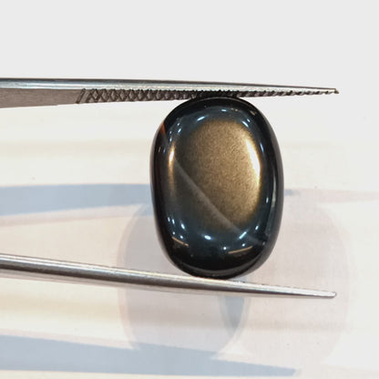 Sulemani Hakik (Black Agate) - 10.22  Carats